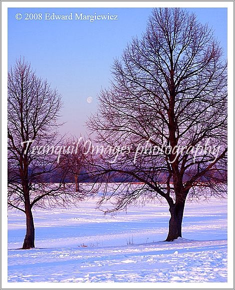 450504---The moon setting over a snow covered lake 